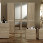 Closet Door with Mirror